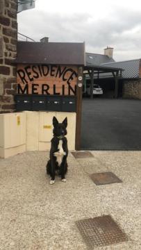 Residence Merlin Appart Des Druides Saint-Malon-sur-Mel Esterno foto